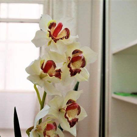 Beautiful Suite Lisbona Esterno foto